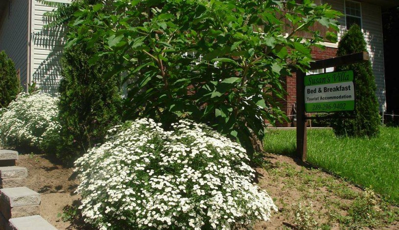 Apartment Ontario Avenue Niagara Falls - Apt 25184